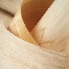 Engineered Veneer